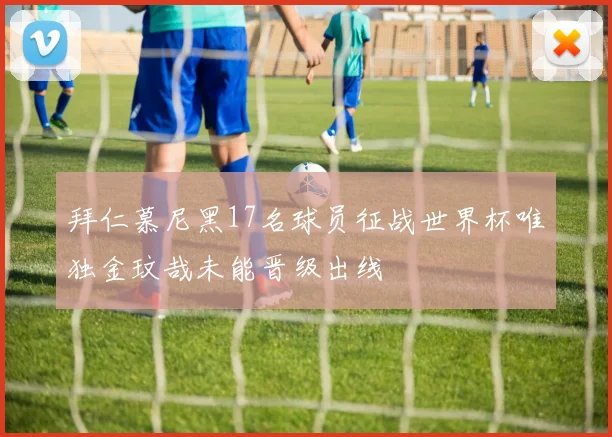 拜仁慕尼黑17名球员征战世界杯唯独金玟哉未能晋级出线